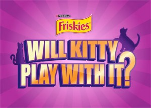 Will Kitty Play With It?