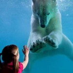 Point Defiance Zoo & Aquarium