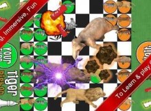 Animal Chess Game
