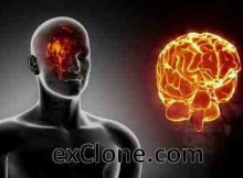 Digital Cloning: The exClone Project Launched