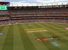 How SAP Brings Fans Closer to ICC Cricket World Cup