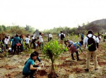 Vietnam: Tree planting activities in a National Wildlife Reserve in Ninh Bình Province.