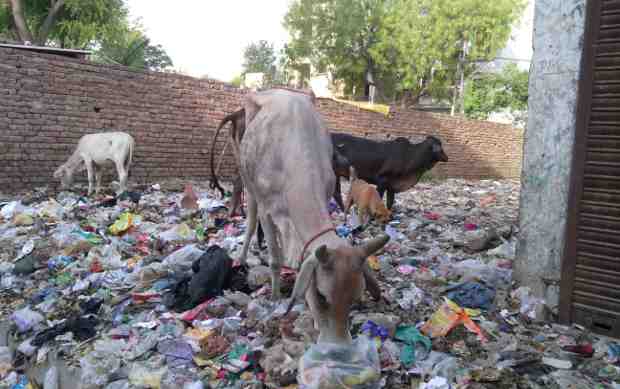 A dirty location in India's capital New Delhi. Photo by: Rakesh Raman