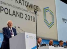 Sir David Attenborough has announced the United Nations’ launch of a new campaign enabling individuals the world over to unite in actions to battle climate change.