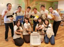 Team Hachi Tama celebrates the toletta smart litter box.
