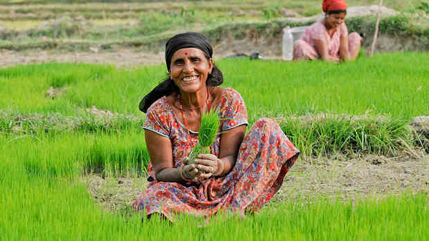 A woman farmer in Nepal. Photo: World Bank