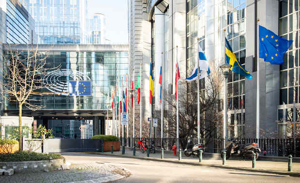 EU flags outside the European Parliament in Brussels. Photo: European Parliament