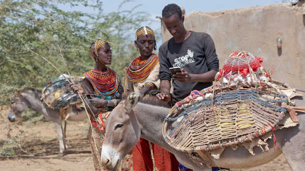 ITU and FAO focus on helping farmers embrace artificial intelligence and the Internet of Things. Photo: ITU