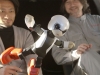 Kirobo and Mirata Robots 
