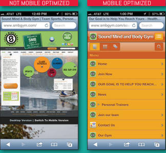 Mobile-Optimized Website