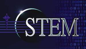 stem