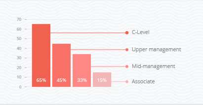 Executive Visions on Video in the Workplace