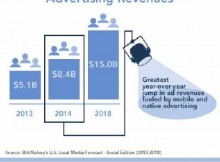 Social Media Ad Revenues