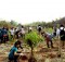 Vietnam: Tree planting activities in a National Wildlife Reserve in Ninh Bình Province.