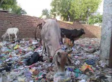 A dirty location in India's capital New Delhi. Photo by: Rakesh Raman