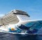 Norwegian Escape: Social Media Usage at Sea