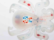 Octobot: The First Autonomous Soft Robot Introduced