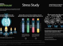 Stress in the Workplace