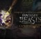 Fantastic Beasts: Cases From The Wizarding World