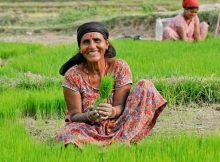 A woman farmer in Nepal. Photo: World Bank