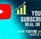 Your YouTube Subscribers: Real or Fake? Photo: RMN News Service