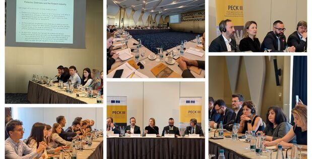 Kosovo Banking Sector Addresses AML/CFT Risks of Emerging Technologies in Workshop. Photo: Council of Europe